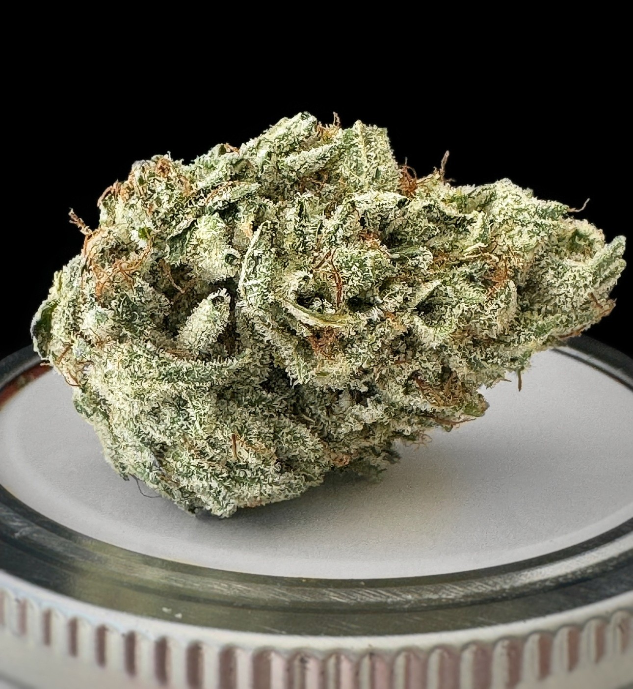 **EXOTIC** White Glue (gg4 x white widow) $220oz / 130½oz